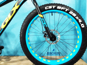 Xe Đạp Thể Thao GALAXY FF99 Bánh Béo