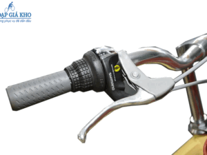 Xe Đạp Phổ Thông 26 INCH FASCINO