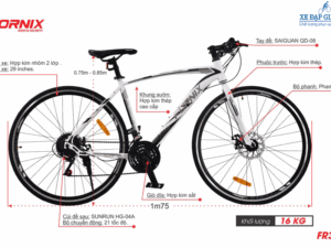 XE ĐẠP ĐUA THỂ THAO FORNIX FR303