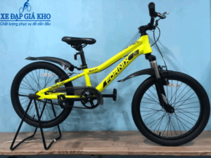 Xe Đạp Trẻ Em FORNIX ROVER 20 Inch