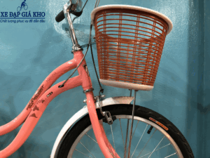 Xe Đạp Cho Bé Gái 20 Inch FASCINO FM20 – Màu Hồng