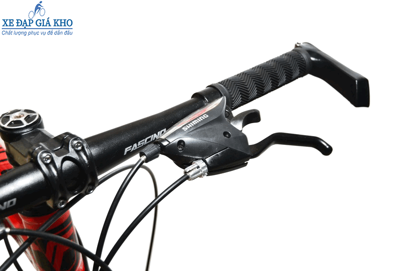 Xe Đạp Thể Thao 24 Inch FASCINO FS224