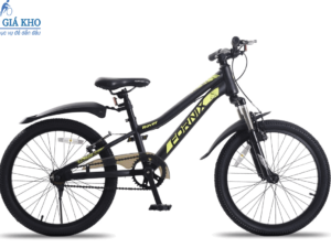 Xe Đạp Trẻ Em FORNIX ROVER 20 Inch