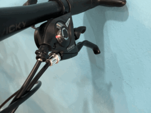 Xe Đạp Trẻ Em 20 Inch VICKY VIC20 – Màu Đen Vàng