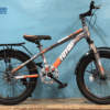 Xe Đạp Trẻ Em 20 Inch TOYOU TY-29 Baga – Màu Xám Cam