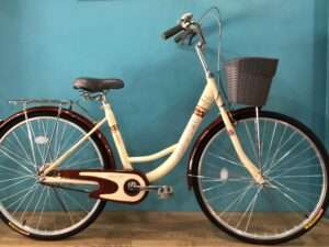 Xe Đạp Phổ Thông 24 inch Cao cấp WINNER 2005