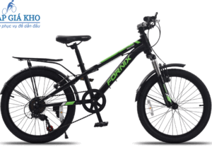 Xe Đạp Trẻ Em 20 Inch Fornix Warrior WR20 – Màu Đen Lá