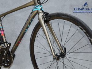 Xe Đạp Đua Sunpeed Touring Triton 2020