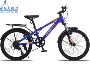 Xe Đạp Trẻ Em 20 Inch Fornix Warrior WR20 – Màu Xanh Cam