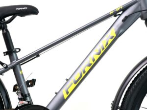 khung suon xe dap dua 24 inch fornix