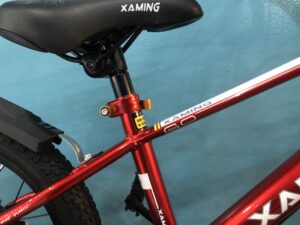 yen xe xe dap tre em xamming 16 inch hiphop