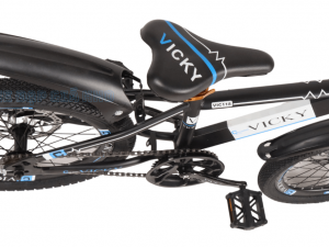 Xe-Dap-Cho-Be-18-Inch-Vicky-Vic118-Yen-Xe