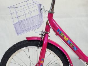 Xe-Dap-Cho-Be-20-Inch-HEWXCX-Gio-Xe