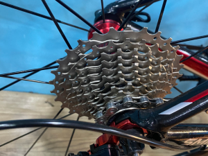 Xe-dap-dua-twitter-smile-c-2021-2x11-lip-xe-mau-xanh-600x800-xe-dap-gia-kho