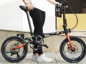 Xe-dap-gap-Trex-Leon