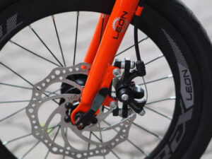 Xe-dap-gap-Trex-Leon-phanh