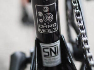 Xe-dap-gap-Trex-Leon-tem