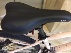 Xe-dap-giant-liv-alight-2-yen-xe