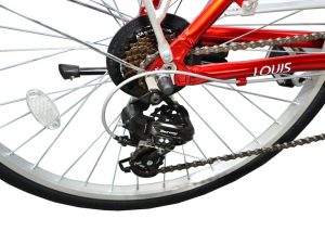 xe-dap-life-louis-cu-de