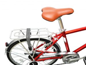 xe-dap-life-louis-yen