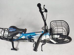 Xe-Dap-Cho-Be-16-Inch-XAMING-XM06